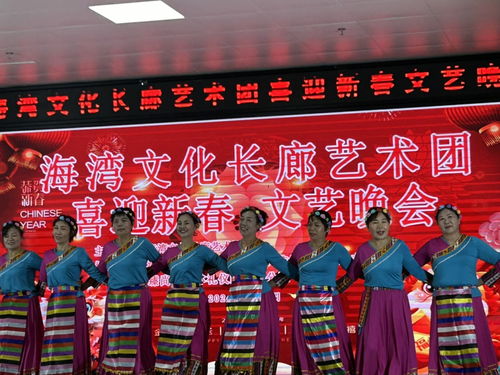 海灣文化長廊藝術團舉辦“喜迎新春”文藝晚會，共繪文化藝術交流新畫卷